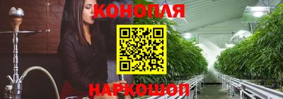 индика Ставрополь