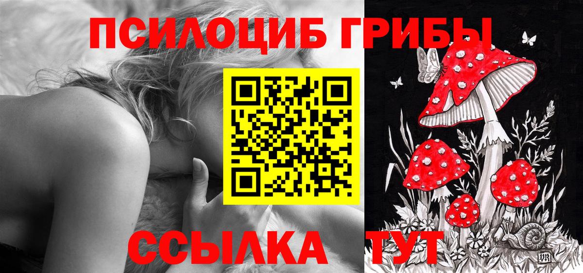 Псилоцибиновые грибы мицелий  Вход с VPN  Лосино-Петровский 
