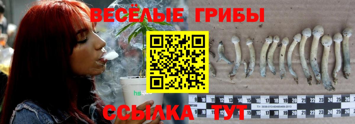 ГАШ  МДМА  Лосино-Петровский  Вход с VPN  Канабис  Канабис  МЕФ   Экстази 
